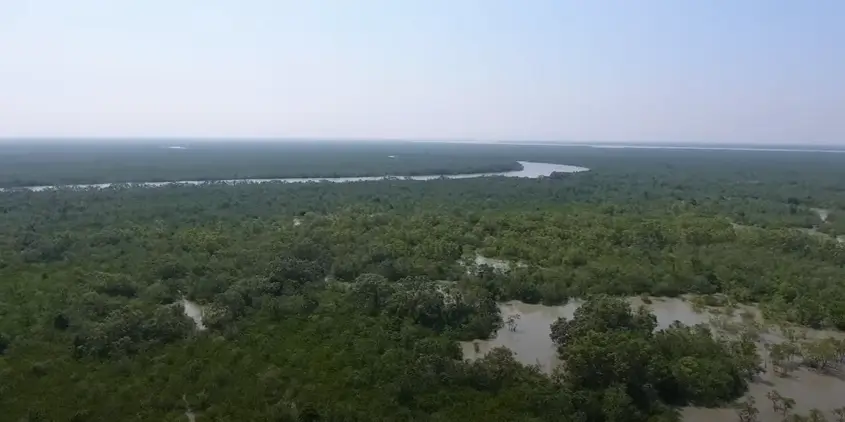 Srimangal and the Sundarbans Wild Adventures