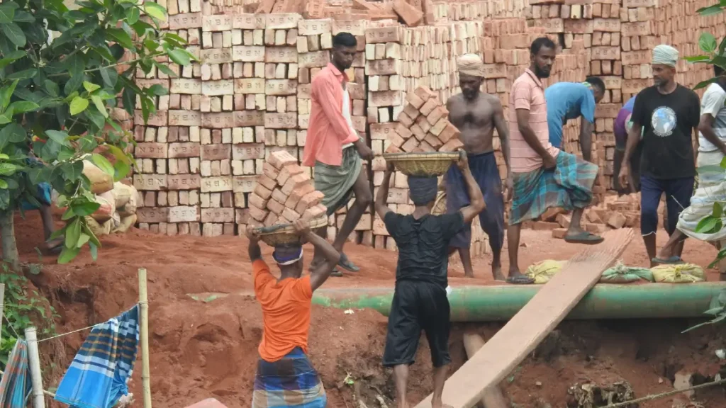 Day long Photography Tour