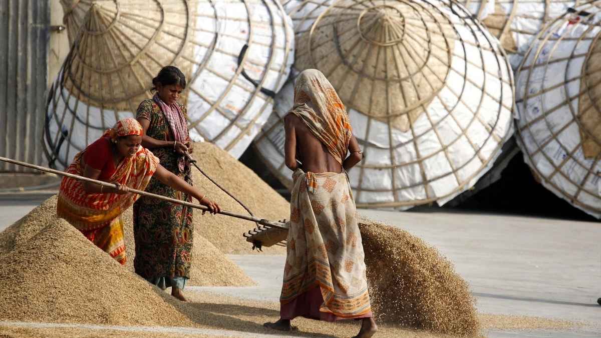Experiencing Bangladesh