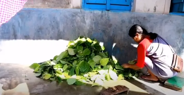 Srimangal Serenity Tea, Tribe & Trails