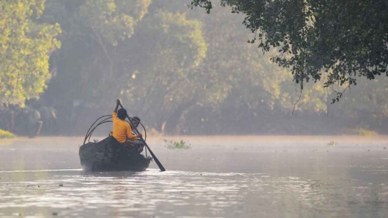 Return to the Wild -Sundarbans and Barishal Bliss