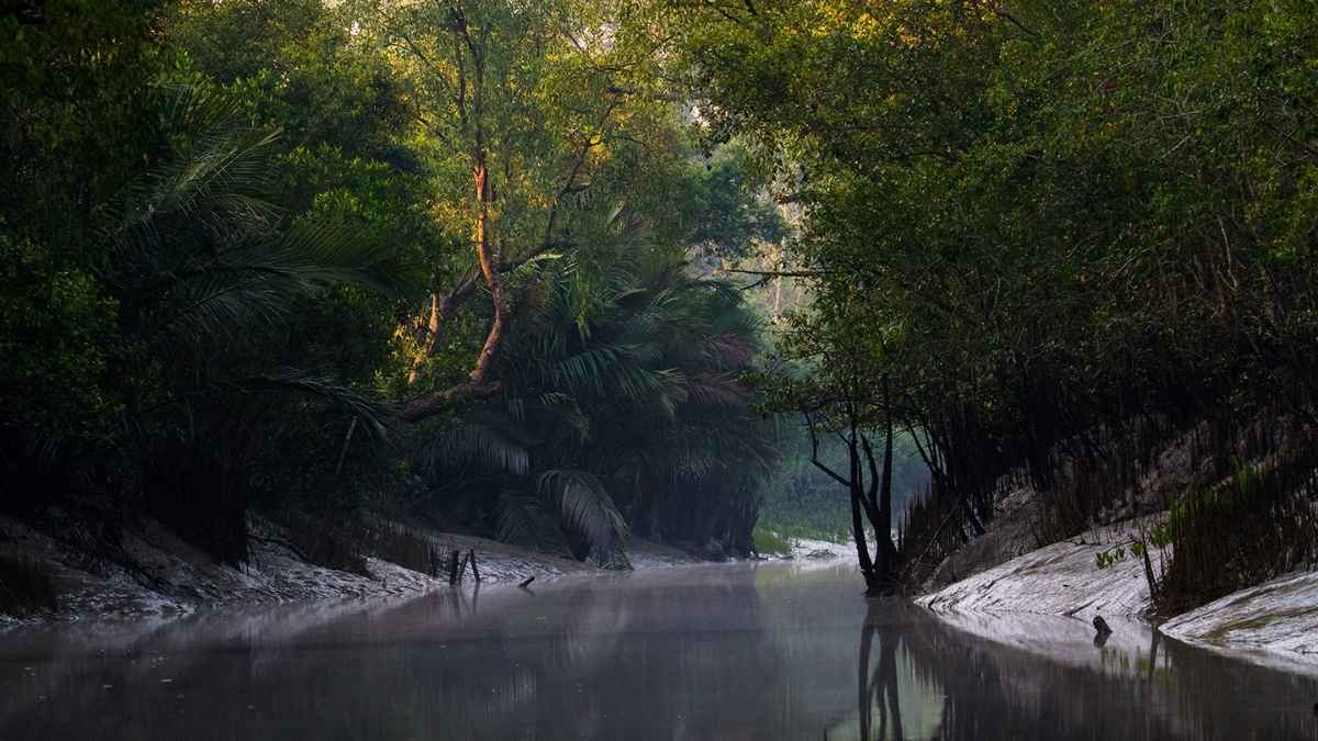 Srimangal and the Sundarbans Wild Adventures
