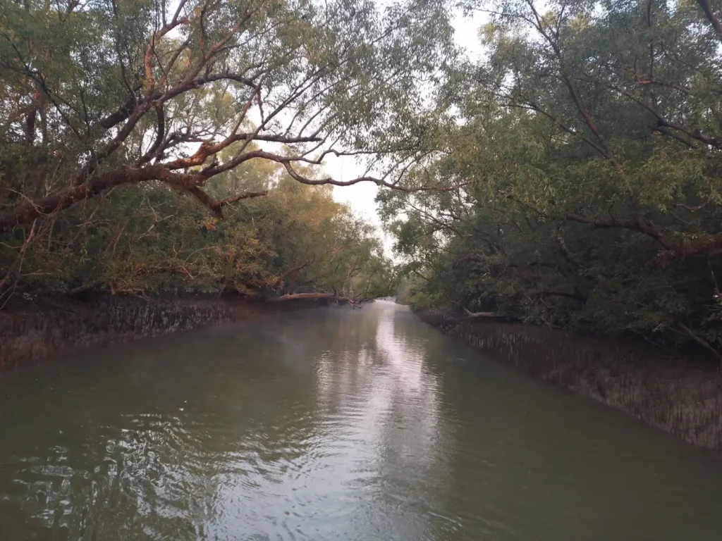 Sundarbans Mixed Group Adventure