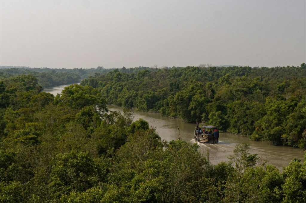 Srimangal and the Sundarbans Wild Adventures