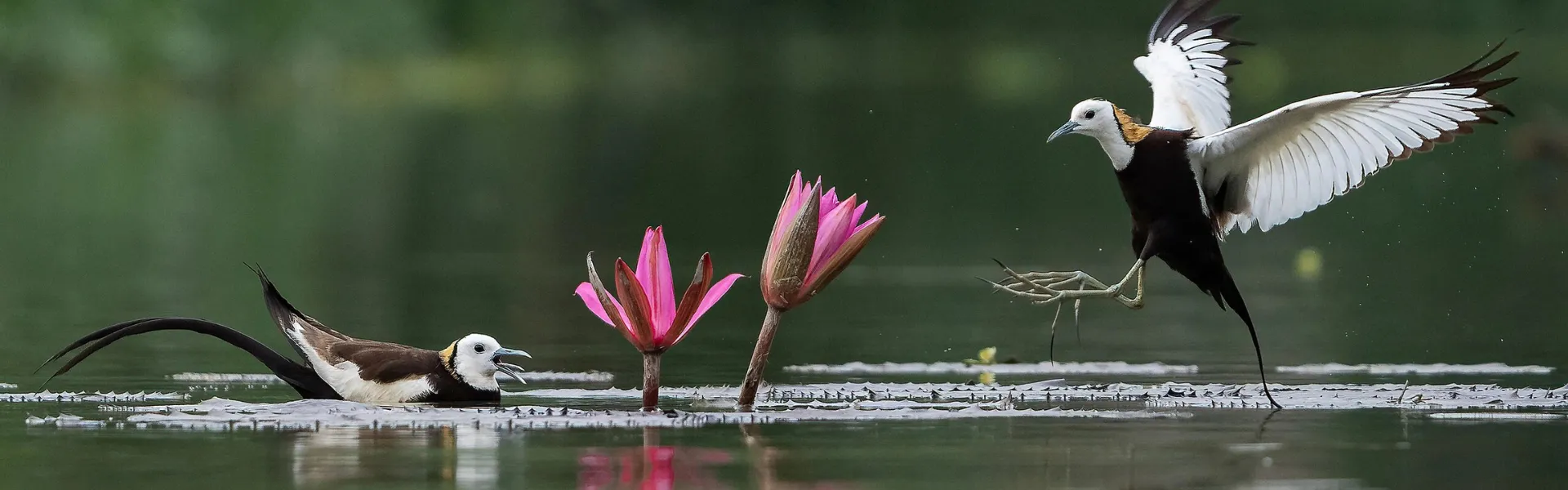 About Us, Bangladesh Tours & Adventures