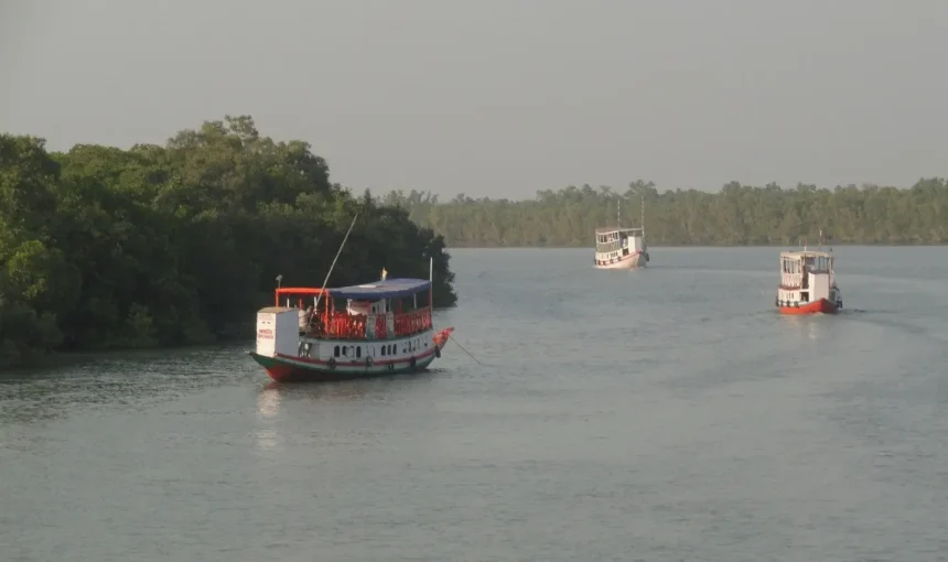 Sundarbans Tour Package from Dhaka: Your Ultimate Adventure Guide
