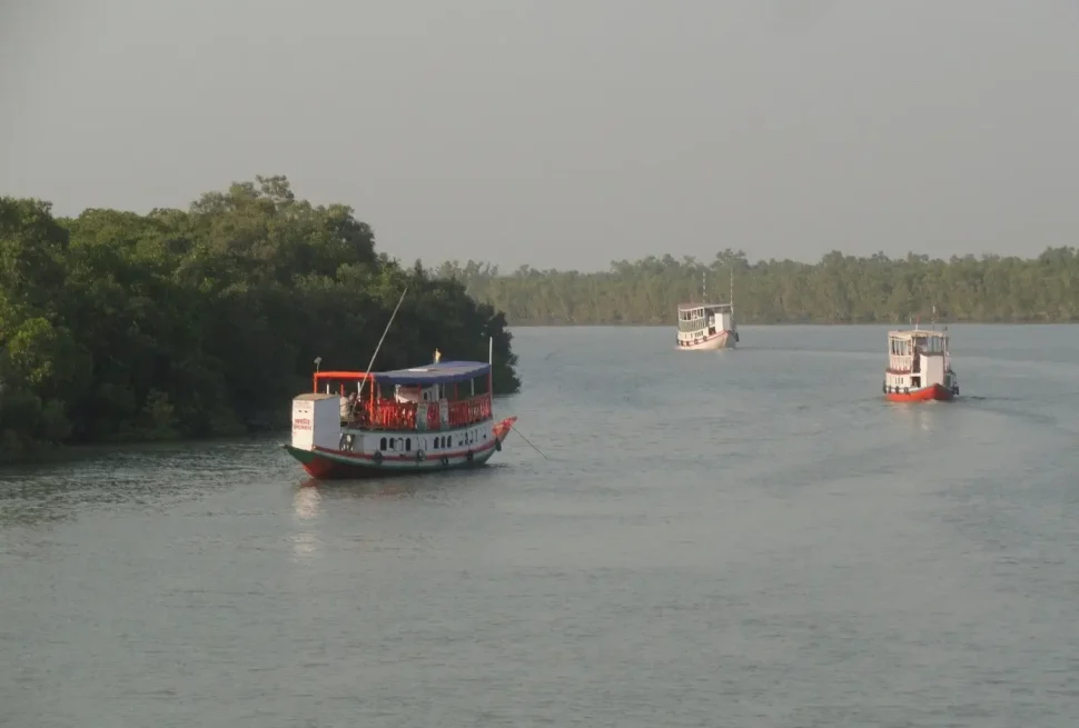 Sundarbans Tour Package from Dhaka
