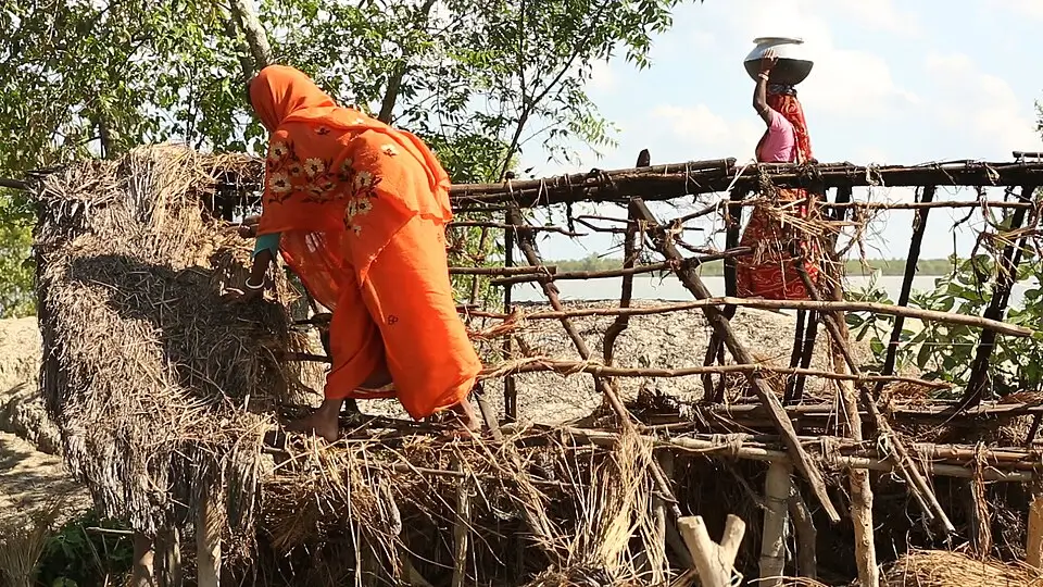 Sundarbans The Last Home of Bengal Tigers