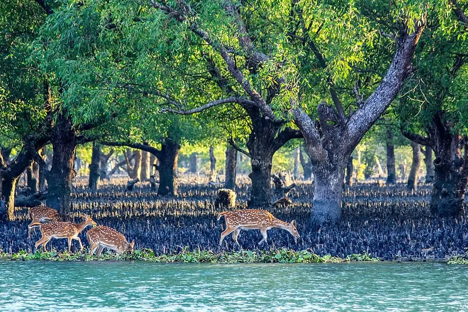 Best Adventure Sports in Bangladesh