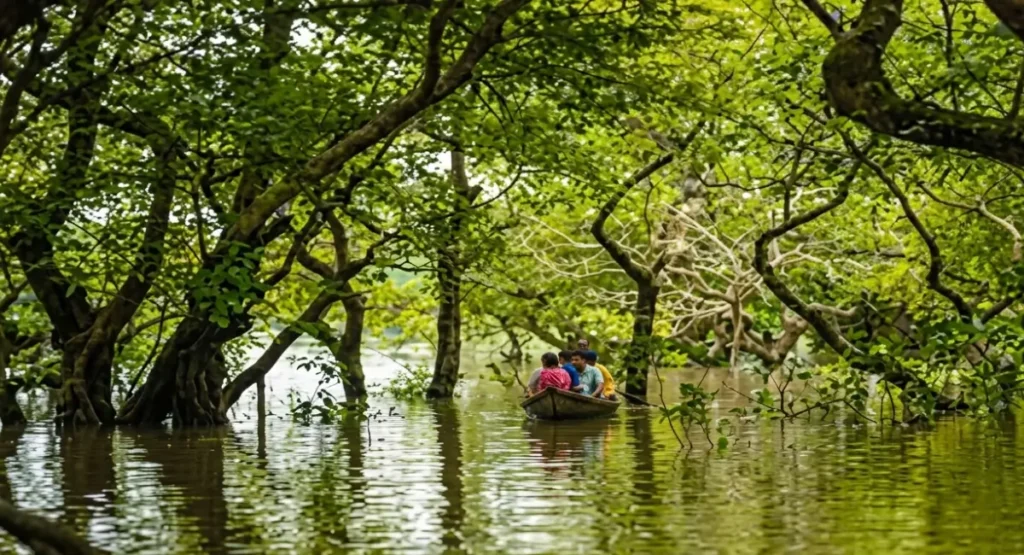 Hidden Gems in Bangladesh