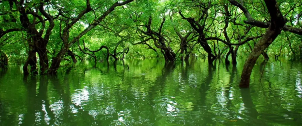 Top 10 Hidden Gems in Bangladesh 2026