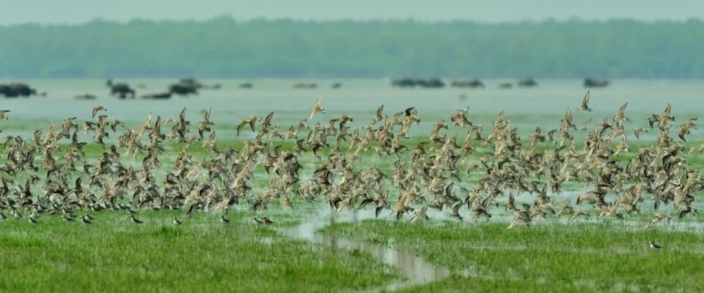 Top 10 Hidden Gems in Bangladesh 2026