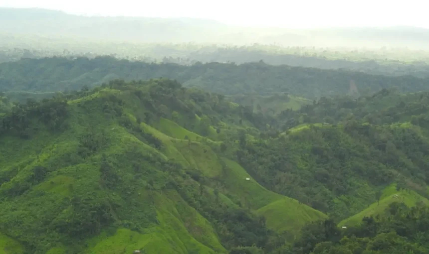 13 Beautiful Forests to Visit in Bangladesh
