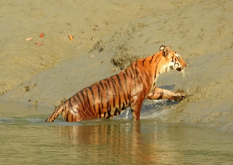 Top Destination places to visit in Bangladesh11