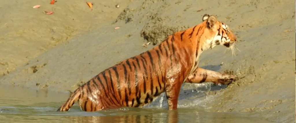 Top Destination places to visit in Bangladesh