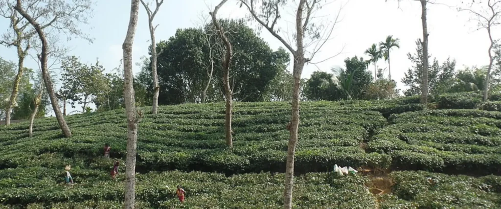 Top Destination places to visit in Bangladesh