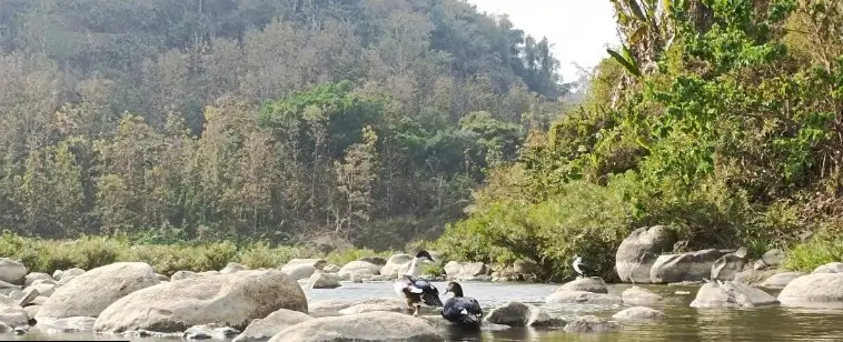 Devtakhum